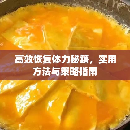 高效恢復(fù)體力秘籍，實(shí)用方法與策略指南