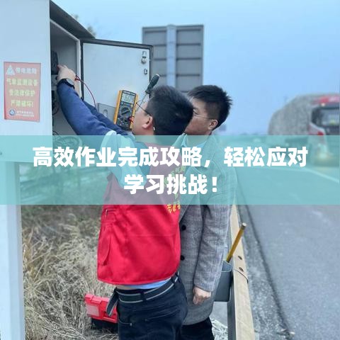 高效作業(yè)完成攻略，輕松應(yīng)對(duì)學(xué)習(xí)挑戰(zhàn)！
