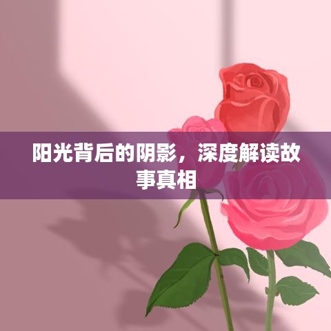 陽光背后的陰影，深度解讀故事真相