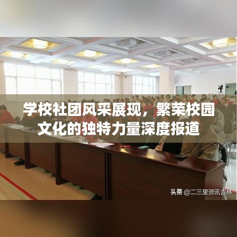 學校社團風采展現(xiàn)，繁榮校園文化的獨特力量深度報道