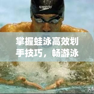 掌握蛙泳高效劃手技巧，暢游泳池無界限