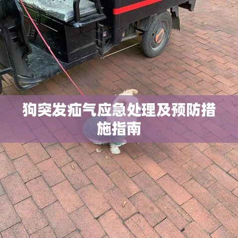 成功案例 第118頁
