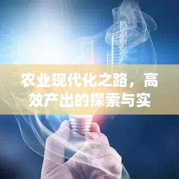 農(nóng)業(yè)現(xiàn)代化之路，高效產(chǎn)出的探索與實(shí)踐