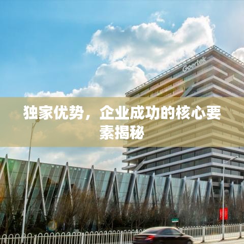 獨(dú)家優(yōu)勢(shì)，企業(yè)成功的核心要素揭秘