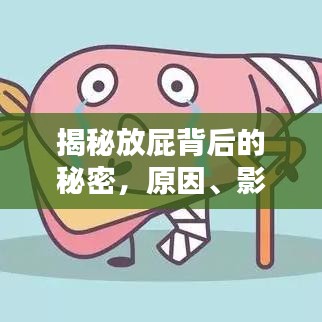 揭秘放屁背后的秘密，原因、影響與應(yīng)對方法