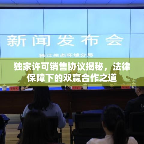 獨(dú)家許可銷售協(xié)議揭秘，法律保障下的雙贏合作之道