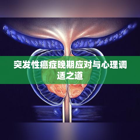 戶外裝備 第127頁(yè)