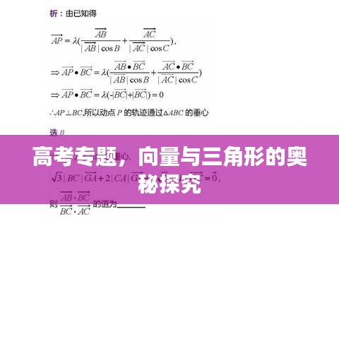 高考專題，向量與三角形的奧秘探究