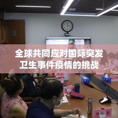 全球共同應(yīng)對(duì)國際突發(fā)衛(wèi)生事件疫情的挑戰(zhàn)