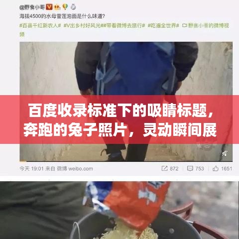 聯(lián)系我們 第127頁