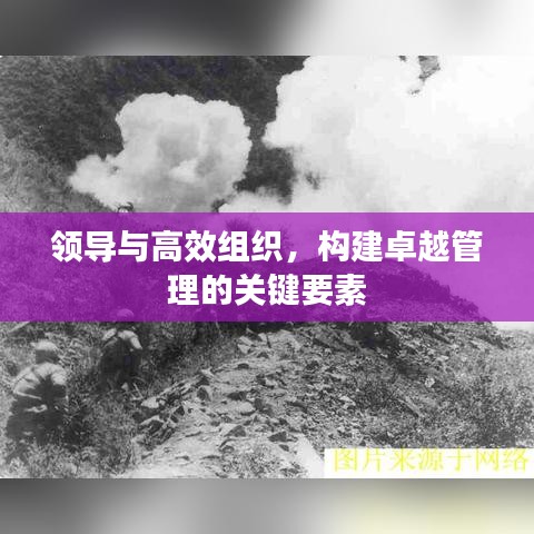 領(lǐng)導(dǎo)與高效組織，構(gòu)建卓越管理的關(guān)鍵要素