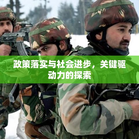政策落實(shí)與社會進(jìn)步，關(guān)鍵驅(qū)動力的探索