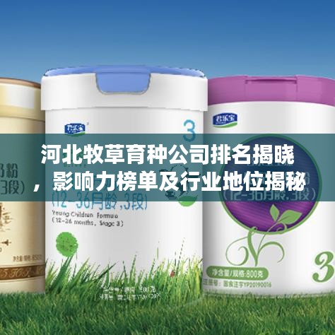 河北牧草育種公司排名揭曉，影響力榜單及行業(yè)地位揭秘