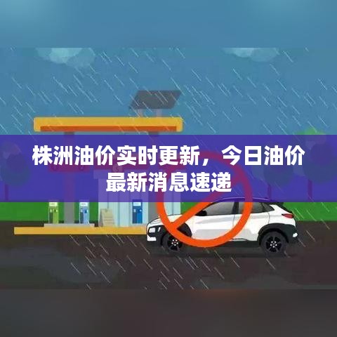 株洲油價實(shí)時更新，今日油價最新消息速遞