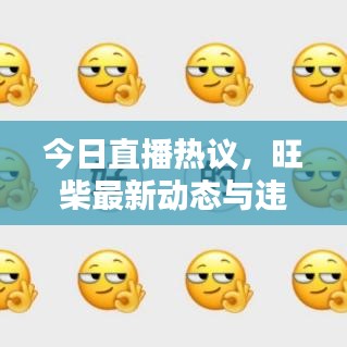 今日直播熱議，旺柴最新動(dòng)態(tài)與違法犯罪問(wèn)題探討深度解析