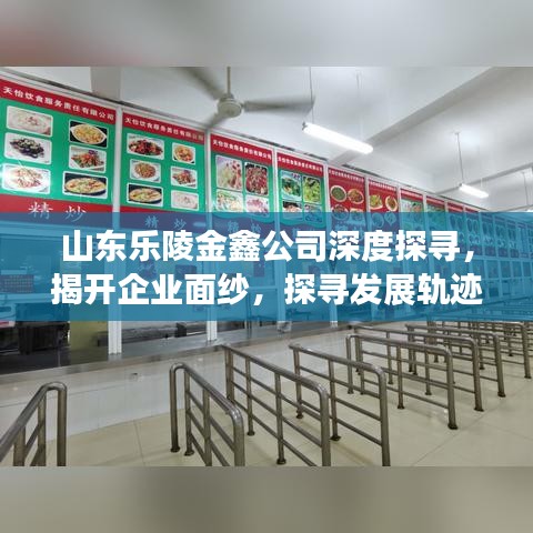 山東樂(lè)陵金鑫公司深度探尋，揭開(kāi)企業(yè)面紗，探尋發(fā)展軌跡