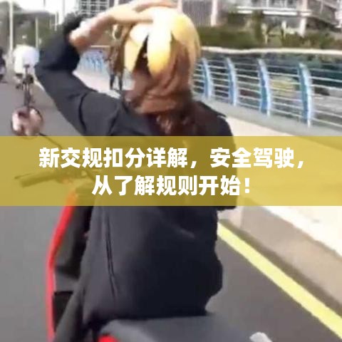 第1619頁(yè)