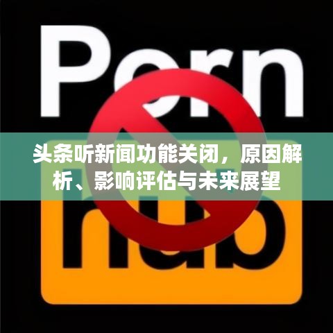頭條聽新聞功能關(guān)閉，原因解析、影響評估與未來展望