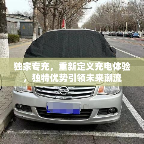 獨家專充，重新定義充電體驗，獨特優(yōu)勢引領未來潮流