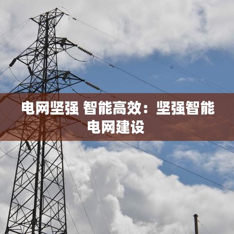 電網(wǎng)堅強(qiáng) 智能高效：堅強(qiáng)智能電網(wǎng)建設(shè) 
