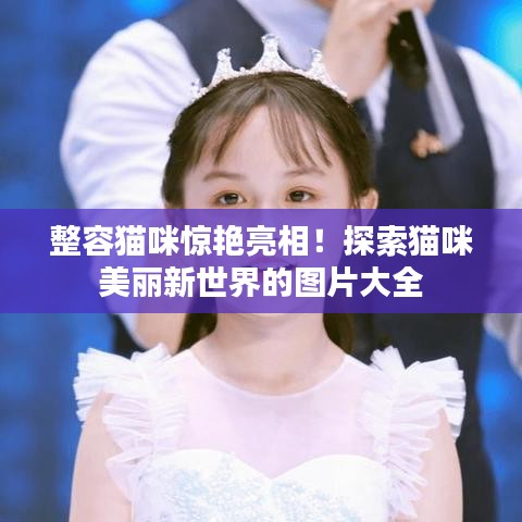 整容貓咪驚艷亮相！探索貓咪美麗新世界的圖片大全