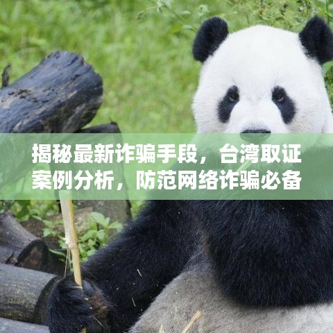 救急包 第120頁