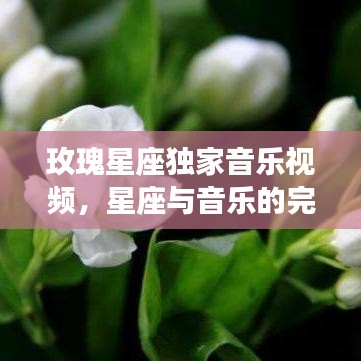 玫瑰星座獨(dú)家音樂(lè)視頻，星座與音樂(lè)的完美交融