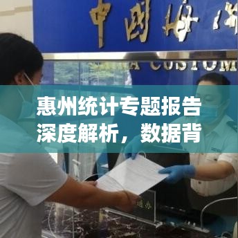惠州統(tǒng)計專題報告深度解析，數據背后的真相與洞察