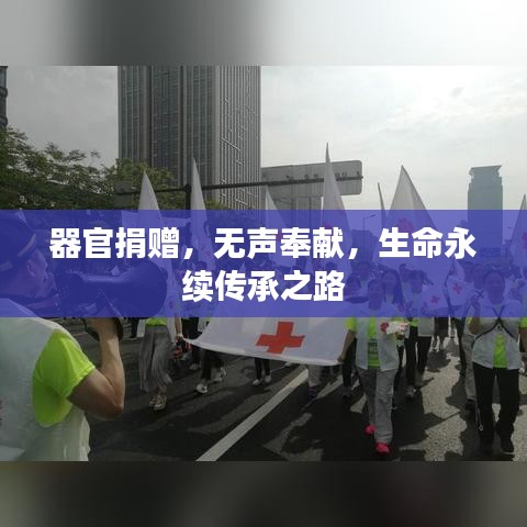 器官捐贈，無聲奉獻，生命永續(xù)傳承之路
