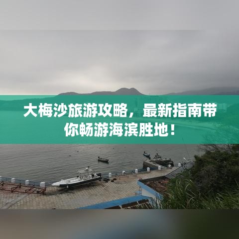 氣囊 第113頁