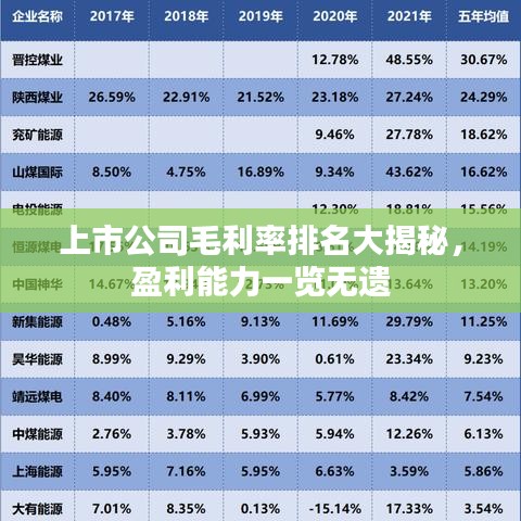 上市公司毛利率排名大揭秘，盈利能力一覽無遺