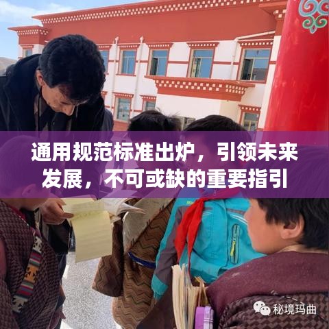 通用規(guī)范標(biāo)準(zhǔn)出爐，引領(lǐng)未來發(fā)展，不可或缺的重要指引