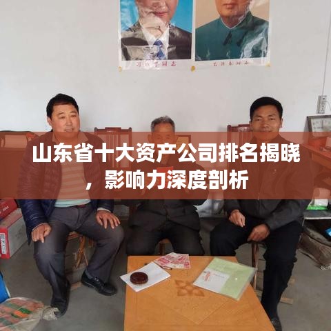 山東省十大資產(chǎn)公司排名揭曉，影響力深度剖析