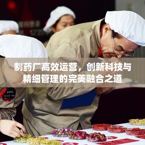 制藥廠高效運(yùn)營(yíng)，創(chuàng)新科技與精細(xì)管理的完美融合之道