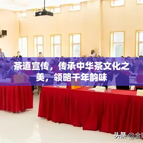 茶道宣傳，傳承中華茶文化之美，領(lǐng)略千年韻味