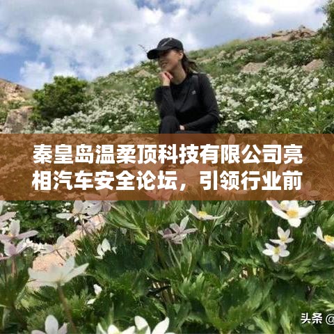 秦皇島溫柔頂科技亮相汽車安全論壇，引領(lǐng)前沿技術(shù)探討風(fēng)潮