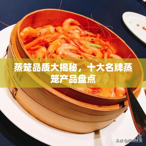 蒸籠品質(zhì)大揭秘，十大名牌蒸籠產(chǎn)品盤點