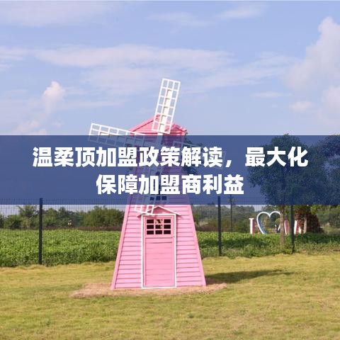 溫柔頂加盟政策詳解，最大化保障加盟商利益
