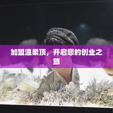 加盟溫柔頂，創(chuàng)業(yè)啟程啟航