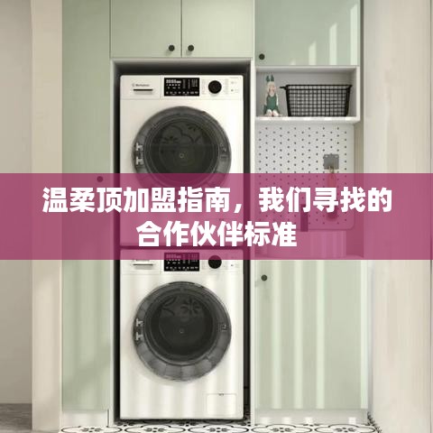 溫柔頂加盟手冊，合作伙伴招募標(biāo)準(zhǔn)詳解