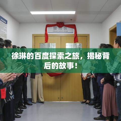 徐琳的百度探索之旅，揭秘背后的故事！