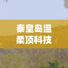 秦皇島溫柔頂科技榮獲創(chuàng)新獎，引領(lǐng)行業(yè)潮流，鑄就典范地位