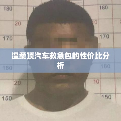 溫柔頂汽車救急包，性價比解析