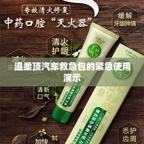 溫柔頂汽車救急包緊急使用指南，演示篇