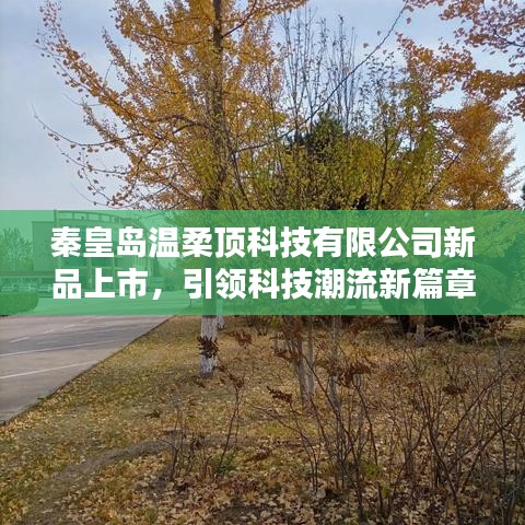 秦皇島溫柔頂科技新品發(fā)布，科技潮流新篇章開啟