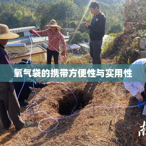 氧氣袋便攜實用，應急醫(yī)療好幫手