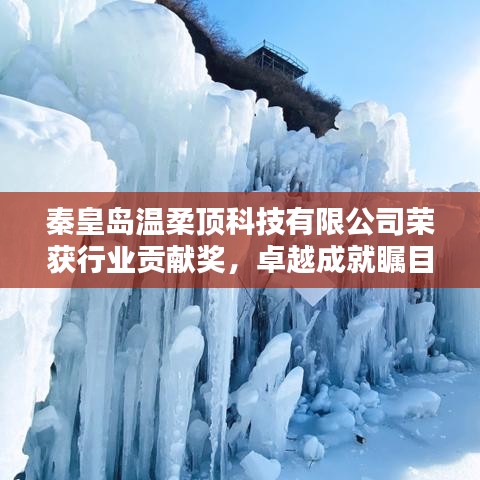 秦皇島溫柔頂科技榮獲行業(yè)貢獻獎，引領(lǐng)創(chuàng)新風(fēng)潮，卓越成就矚目
