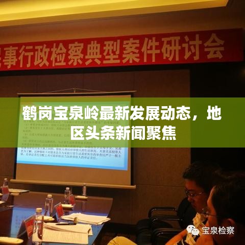 鶴崗寶泉嶺最新發(fā)展動(dòng)態(tài)，地區(qū)頭條新聞聚焦