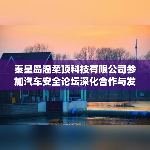 秦皇島溫柔頂科技參加汽車(chē)安全論壇，深化合作，共謀發(fā)展
