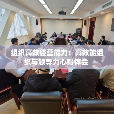 組織高效經(jīng)營能力：高效能組織與領(lǐng)導(dǎo)力心得體會 
